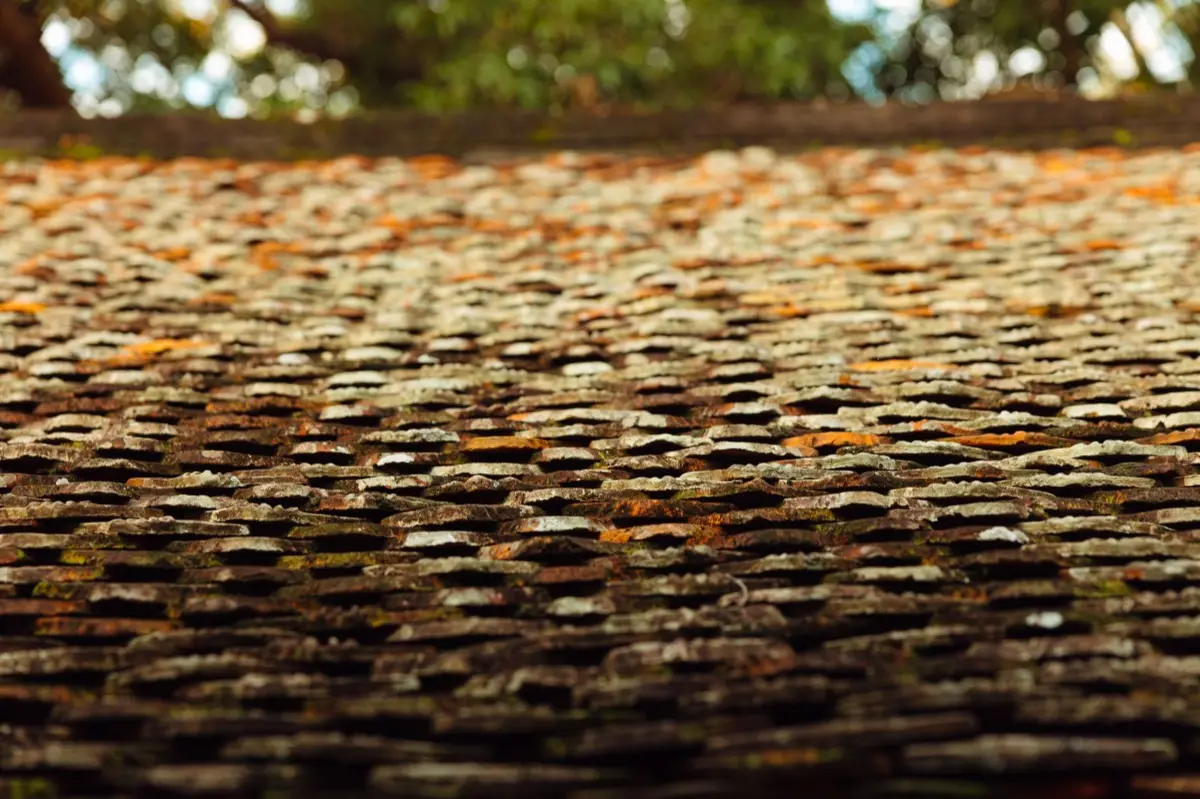 Roof Leak Repair in McAllen, TX